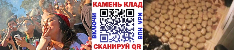 продажа наркотиков  Жердевка  мориарти состав  ГАШИШ Ice-O-Lator 