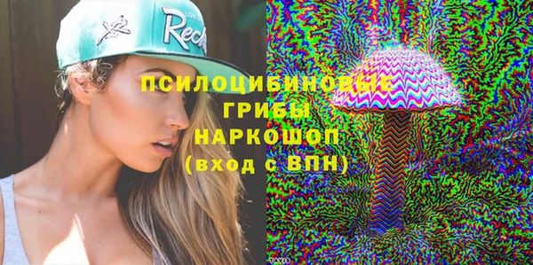 твердый Алексеевка