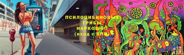 твердый Алексеевка