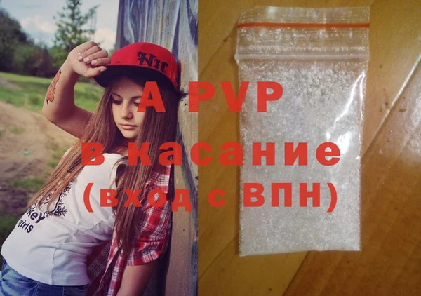 хмурый Абаза