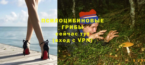 Альфа ПВП Алексин
