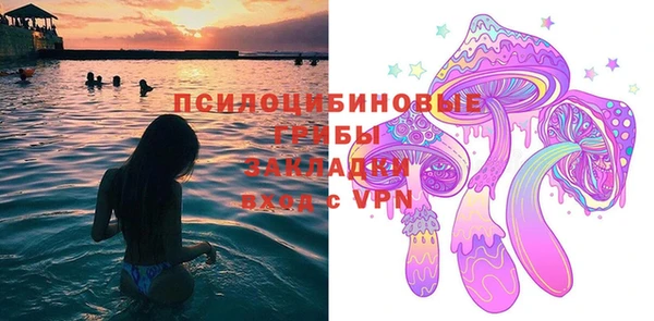 твердый Алексеевка