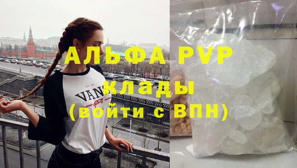 хмурый Абаза
