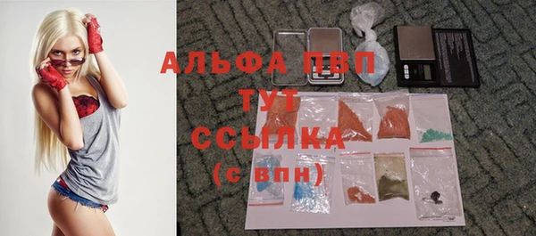 хмурый Абаза