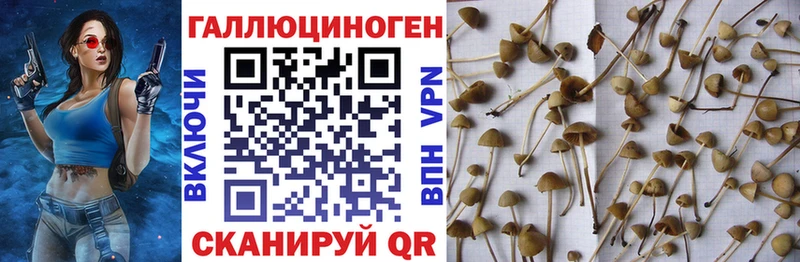 Галлюциногенные грибы ЛСД  цена   Жердевка 